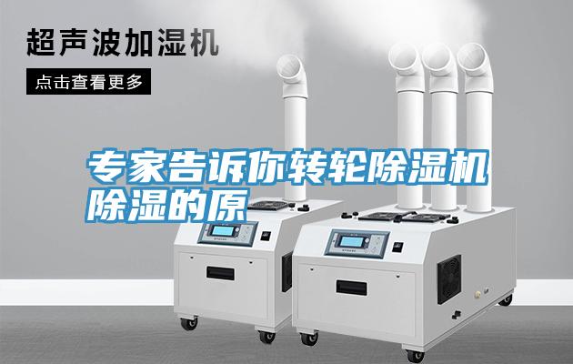 專家告訴你轉輪深夜福利视频网站除濕的原