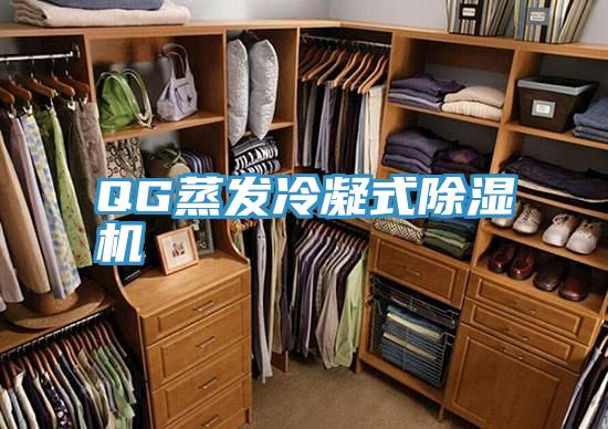 QG蒸發冷凝式深夜福利视频网站