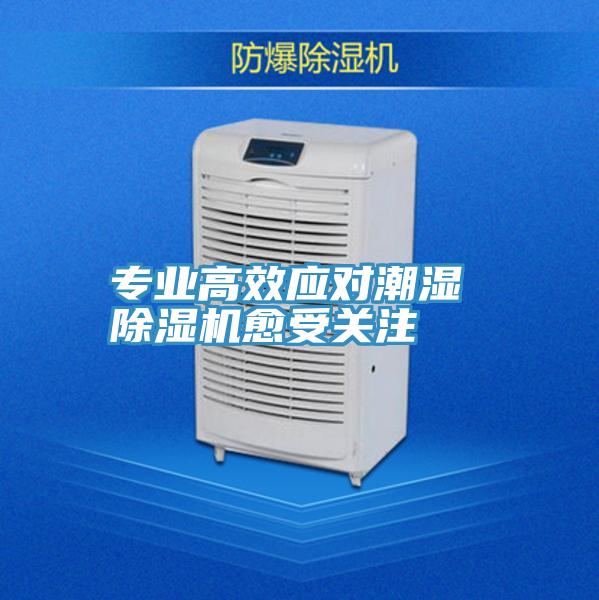 專業高效應對潮濕 深夜福利视频网站愈受關注