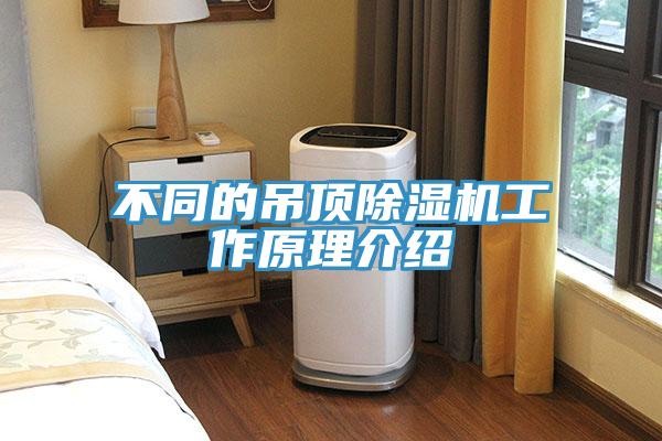 不同的吊頂深夜福利视频网站工作原理介紹