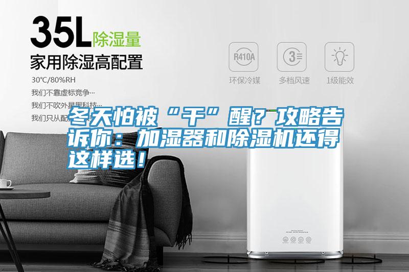 冬天怕被“幹”醒？攻略告訴你：加濕器和深夜福利视频网站還得這樣選！