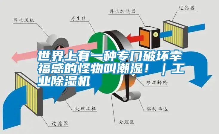 世界上有一種專門破壞幸福感的怪物叫潮濕！｜工業深夜福利视频网站