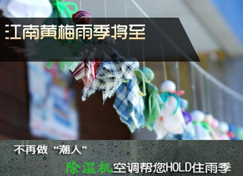 防潮深夜福利视频网站