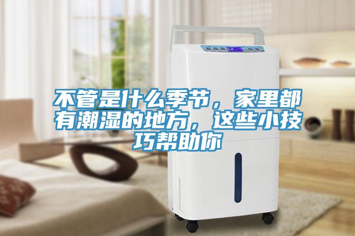 不管是什麽季節，家裏都有潮濕的地方，這些小技巧幫助你