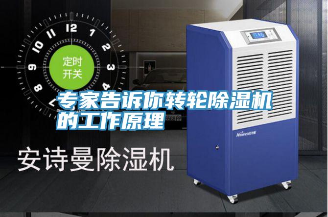 專家告訴你轉輪深夜福利视频网站的工作原理