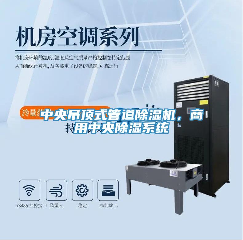 中央吊頂式管道深夜福利视频网站，商用中央除濕係統