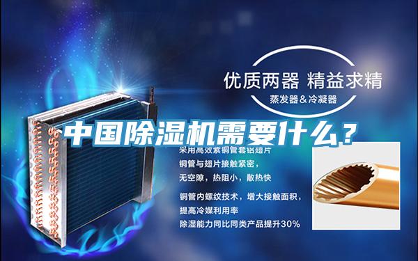 中國深夜福利视频网站需要什麽？