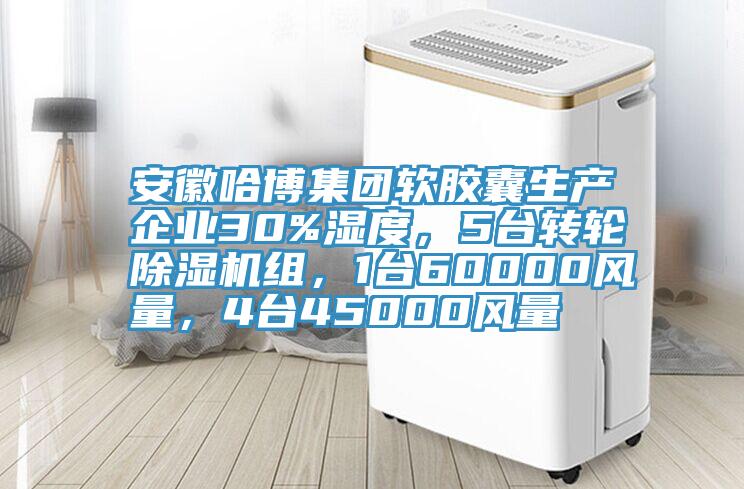 安徽哈博集團軟膠囊生產企業30%濕度，5台轉輪深夜福利视频网站組，1台60000風量，4台45000風量