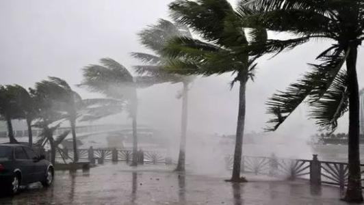 8月台風雨即將來，深夜福利视频网站還得用起來