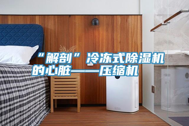 “解剖”冷凍式深夜福利视频网站的心髒——壓縮機