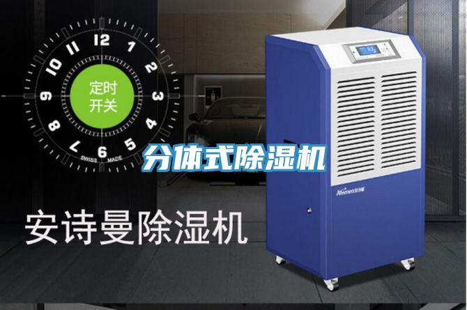 分體式深夜福利视频网站