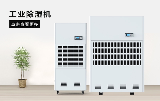 三八節送媽媽的禮物，選這款深夜在线视频除濕器就對了