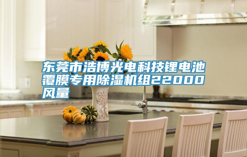 東莞市浩博光電科技鋰電池覆膜專用深夜福利视频网站組22000風量