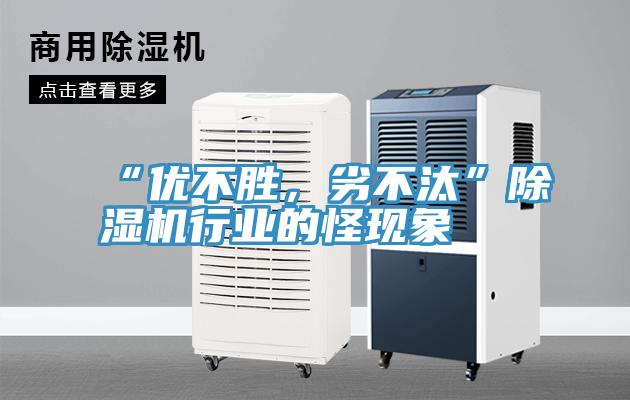 “優不勝，劣不汰”深夜福利视频网站行業的怪現象