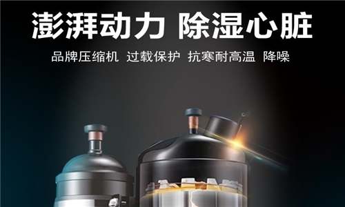 四大深夜福利视频网站的經營特點