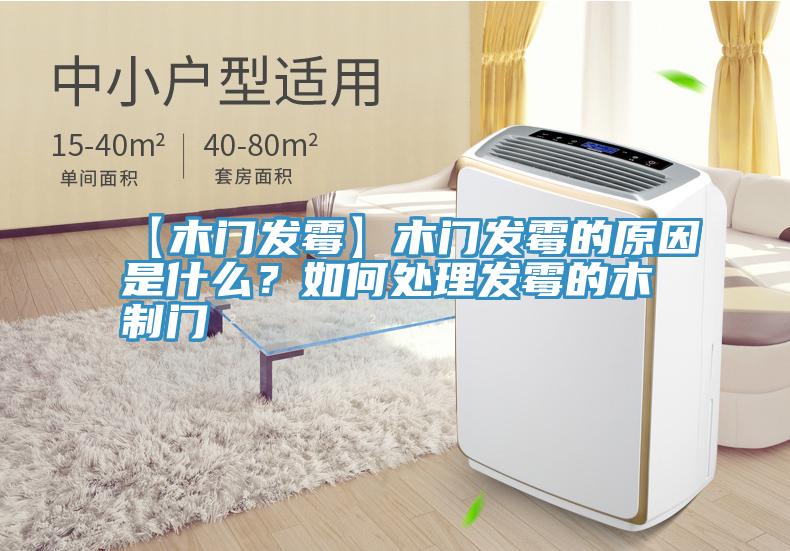 【木門發黴】木門發黴的原因是什麽？如何處理發黴的木製門