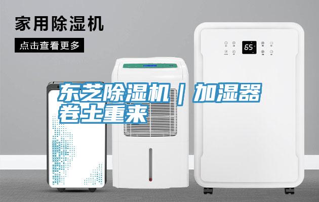 東芝深夜福利视频网站｜加濕器卷土重來