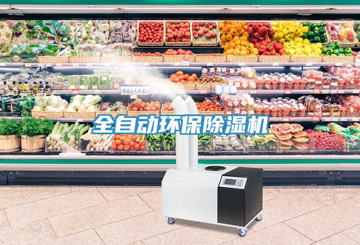 全自動環保深夜福利视频网站
