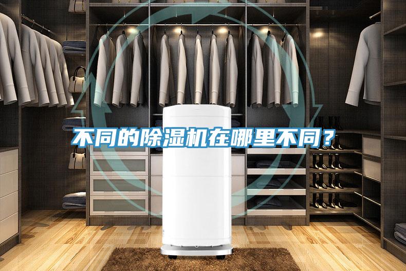 不同的深夜福利视频网站在哪裏不同？