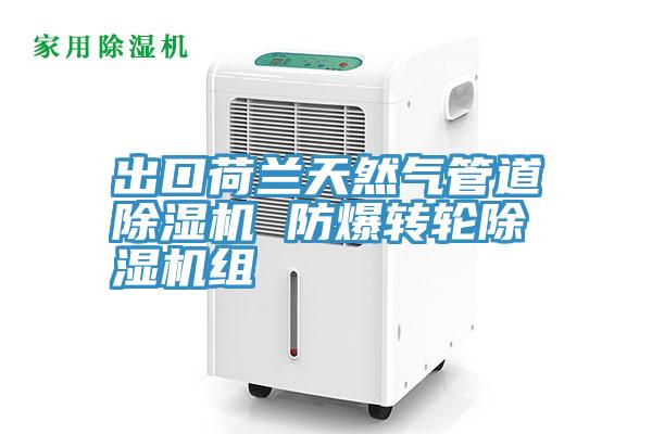 出口荷蘭天然氣管道深夜福利视频网站 防爆轉輪深夜福利视频网站組