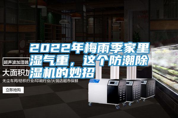 2022年梅雨季家裏濕氣重，這個防潮深夜福利视频网站的妙招