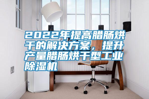 2022年提高臘腸烘幹的解決方案，提升產量臘腸烘幹型工業深夜福利视频网站
