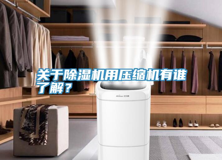 關於深夜福利视频网站用壓縮機有誰了解？