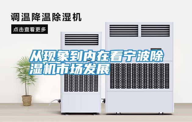 從現象到內在看寧波深夜福利视频网站市場發展