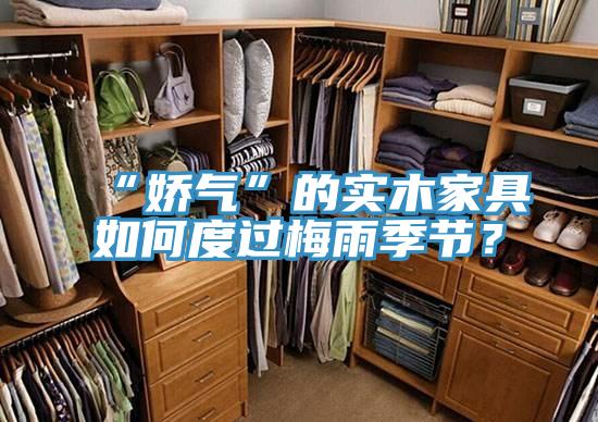 “嬌氣”的實木家具如何度過梅雨季節？