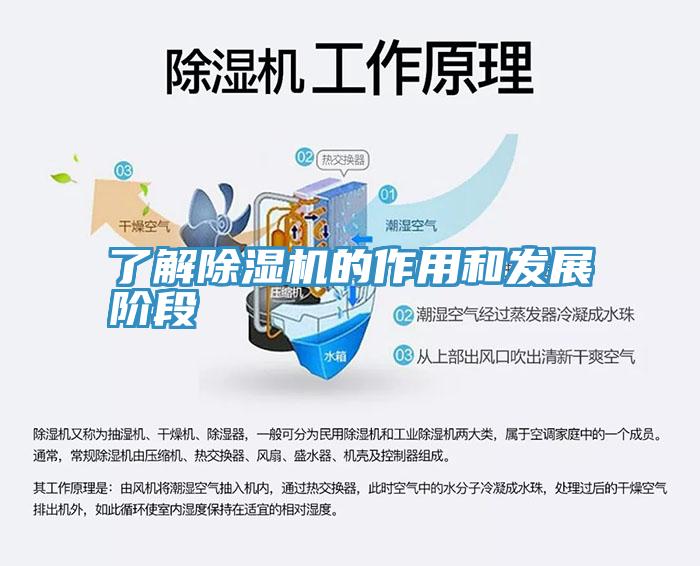 了解深夜福利视频网站的作用和發展階段