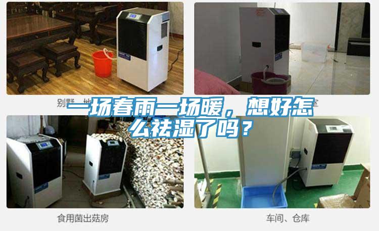 一場春雨一場暖，想好怎麽祛濕了嗎？