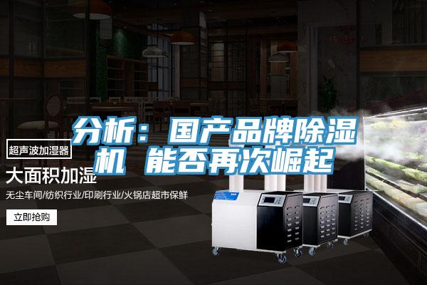 分析：國產品牌深夜福利视频网站 能否再次崛起