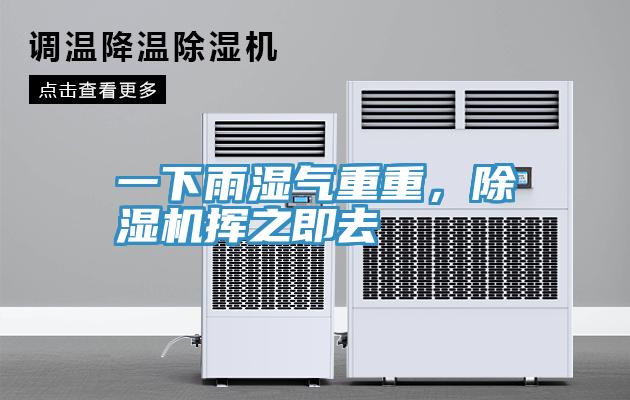 一下雨濕氣重重，深夜福利视频网站揮之即去