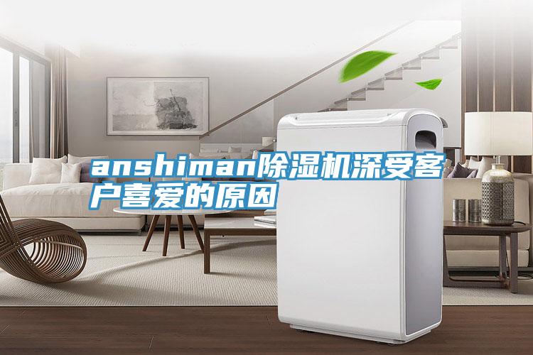 anshiman深夜福利视频网站深受客戶喜愛的原因