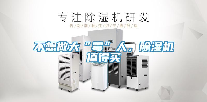 不想做大“黴”人，深夜福利视频网站值得買