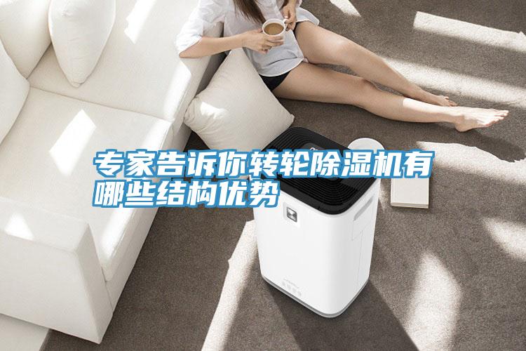 專家告訴你轉輪深夜福利视频网站有哪些結構優勢