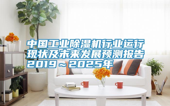 中國工業深夜福利视频网站行業運行現狀及未來發展預測報告2019～2025年