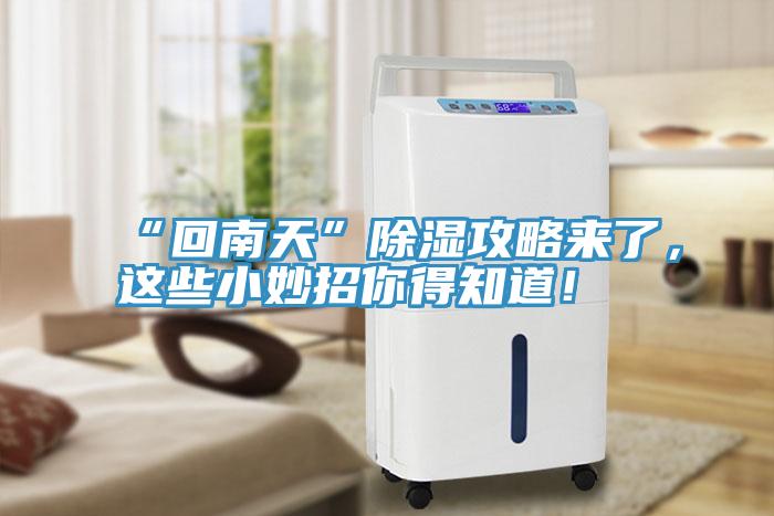 “回南天”除濕攻略來了，這些小妙招你得知道！