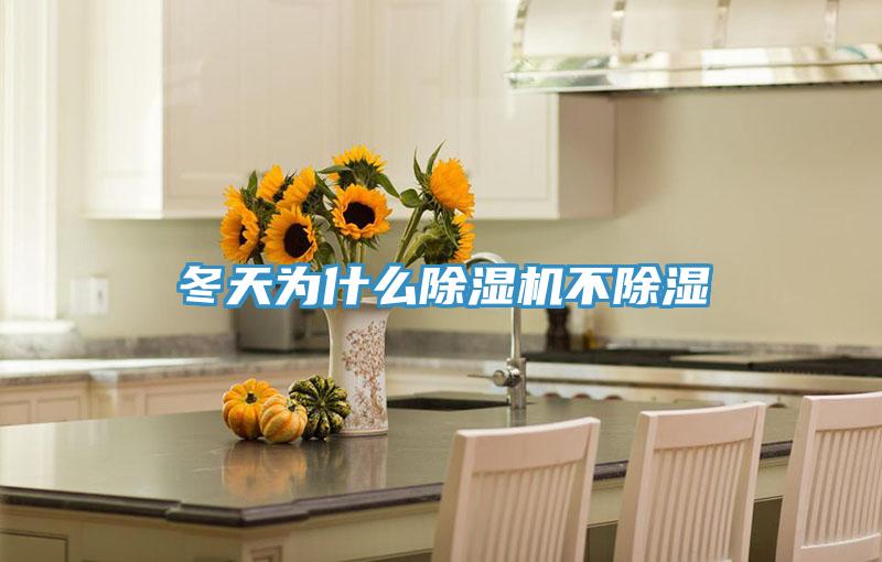 冬天為什麽深夜福利视频网站不除濕