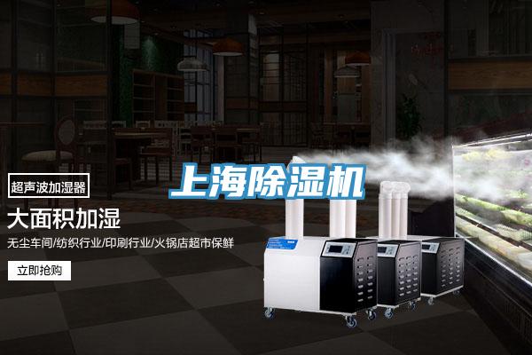 上海深夜福利视频网站
