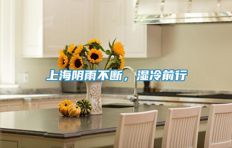 上海陰雨不斷，濕冷前行