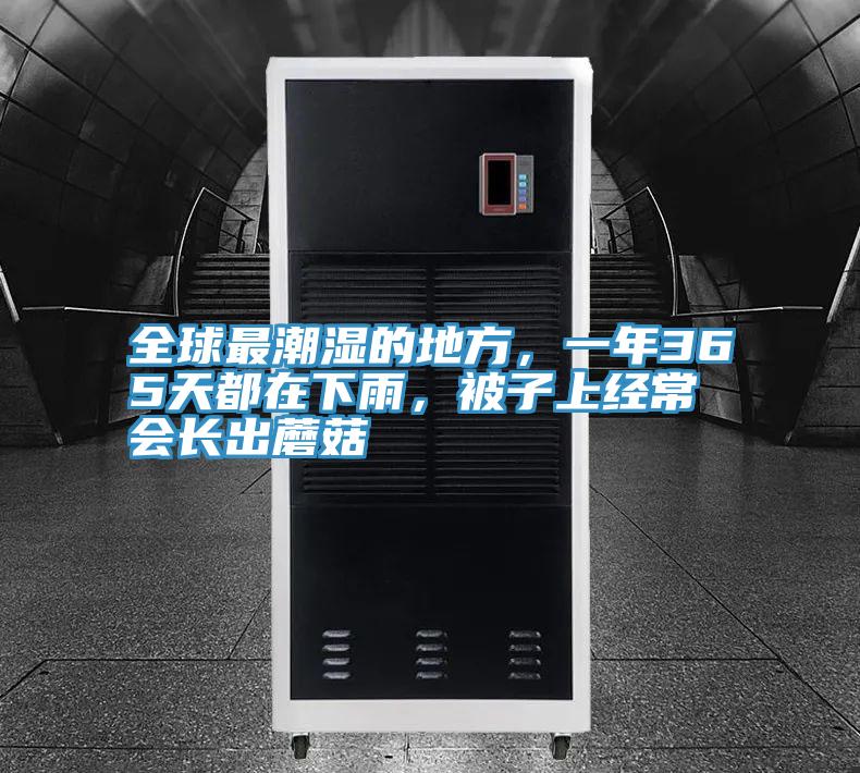 全球最潮濕的地方，一年365天都在下雨，被子上經常會長出蘑菇