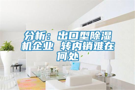 分析：出口型深夜福利视频网站企業 轉內銷難在何處