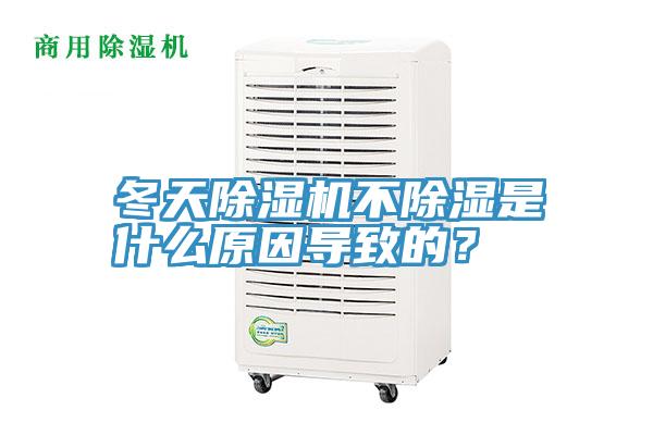 冬天深夜福利视频网站不除濕是什麽原因導致的？