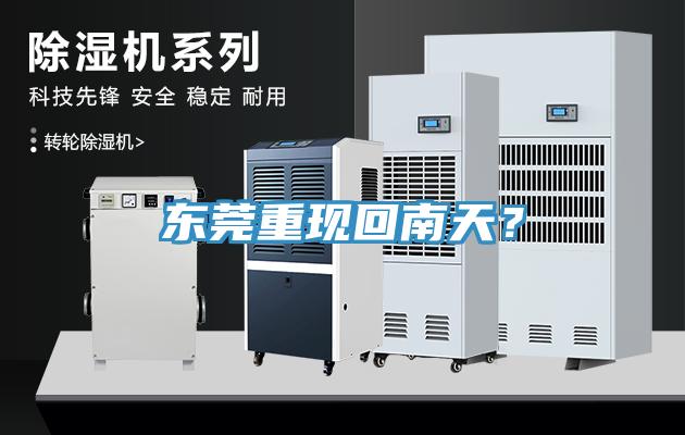 東莞重現回南天？