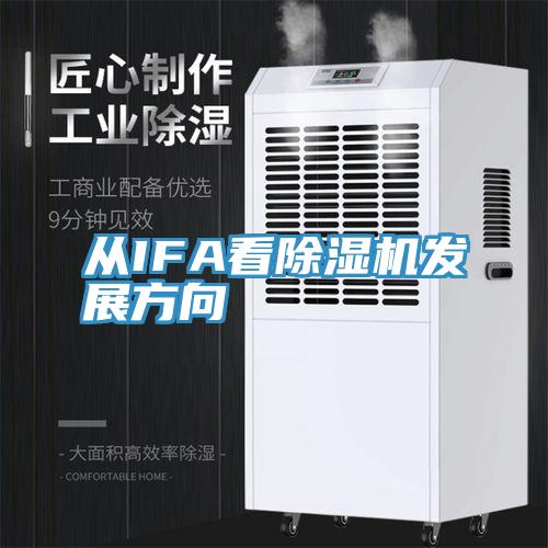 從IFA看深夜福利视频网站發展方向