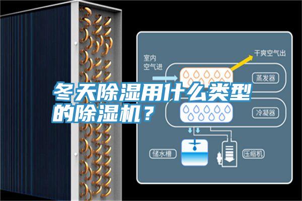 冬天除濕用什麽類型的深夜福利视频网站？