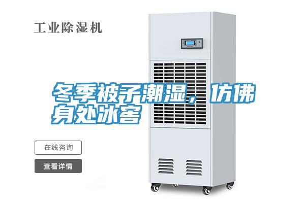冬季被子潮濕，仿佛身處冰窖