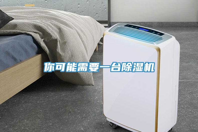 你可能需要一台深夜福利视频网站