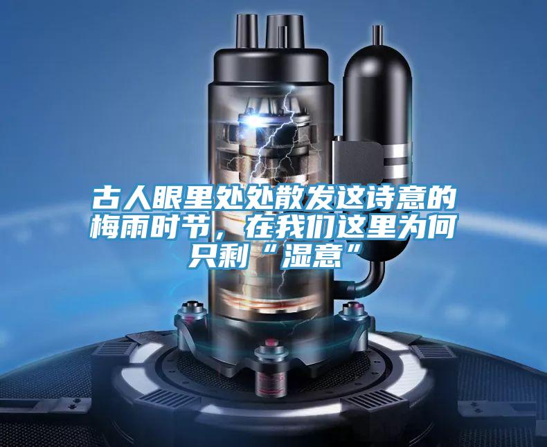 古人眼裏處處散發這詩意的梅雨時節，在深夜在线视频這裏為何隻剩“濕意”